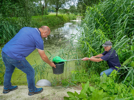 Ruimte voor natuur