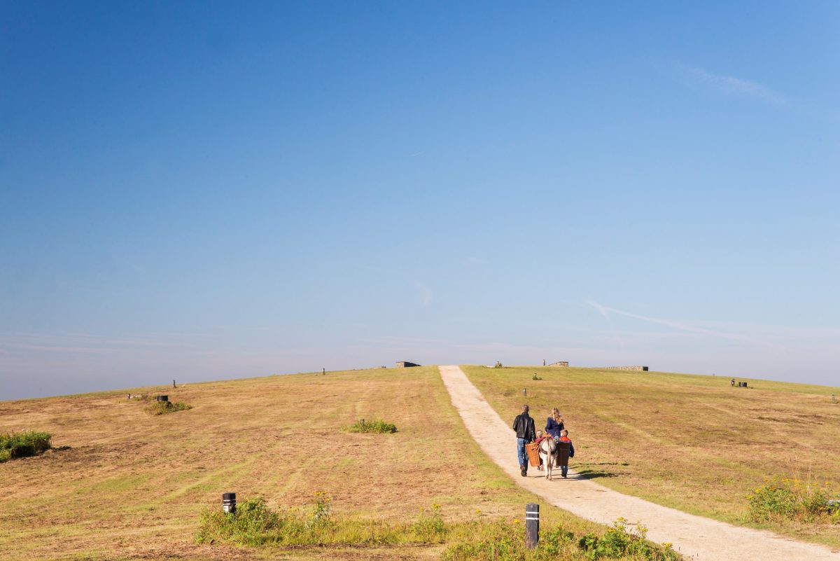 Nieuwe Energietuin gepland in Gelderland