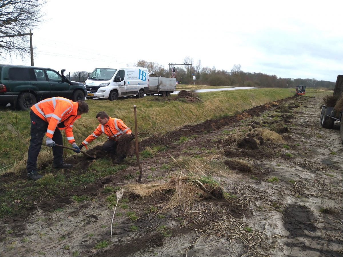 Realisatie Energietuin Assen-Zuid van start met beplanting