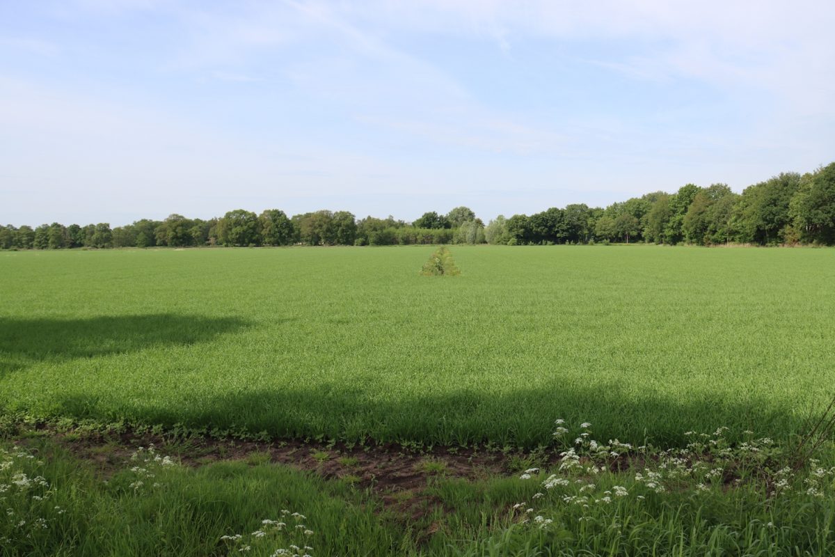 Eerste metingen EcoCertified Solar Label uitgevoerd in de Energietuinen