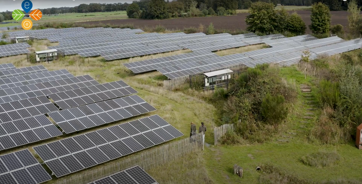 Energietuinen van A tot Z: bekijk onze video's en bijbehorende informatiebladen