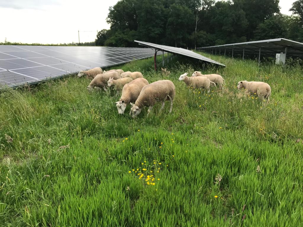 17 september Open Energiedag: kom kijken bij Energietuinen partner ‘t Veen