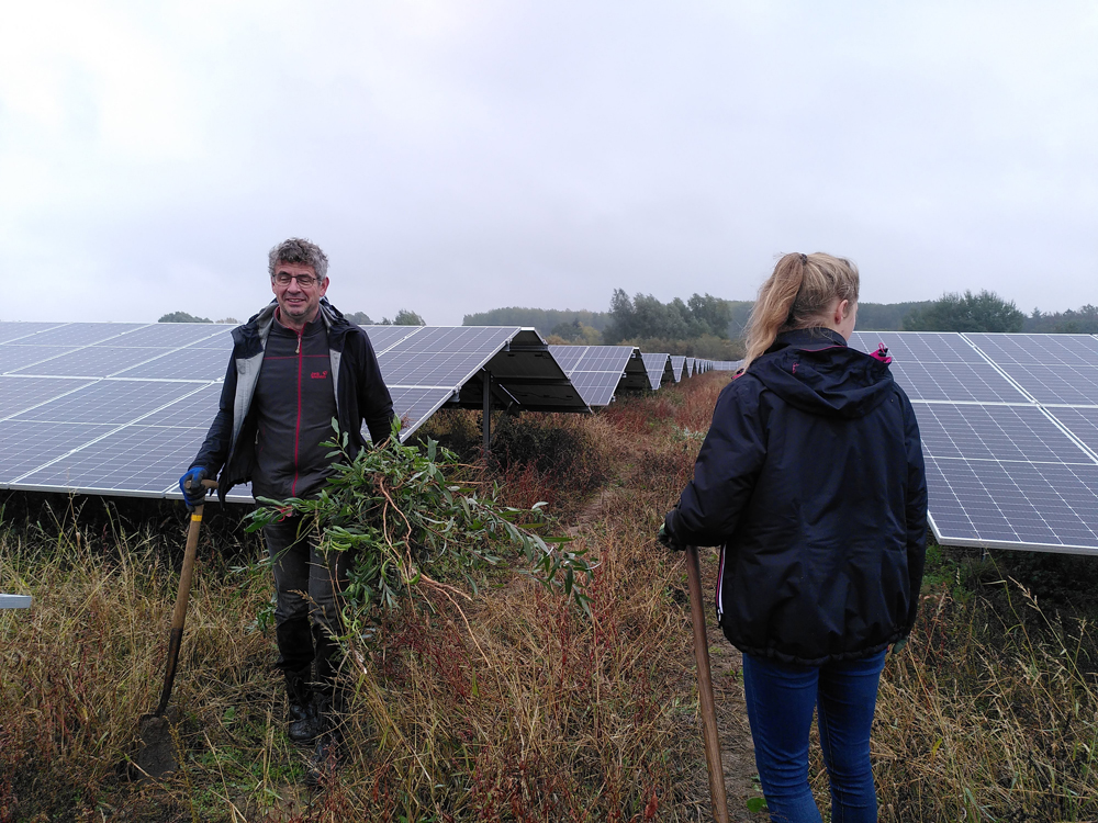 Handen uit de mouwen voor de natuur in Energietuin De Noordmanshoek