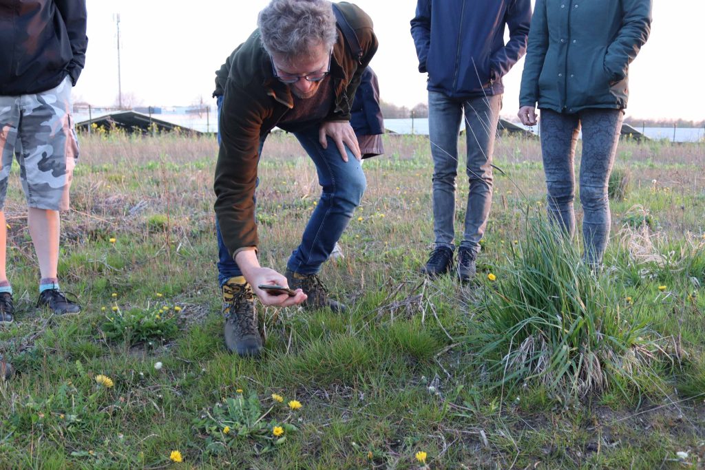 Vrijwilligers monitoren biodiversiteit bij Energietuin de Noordmanshoek