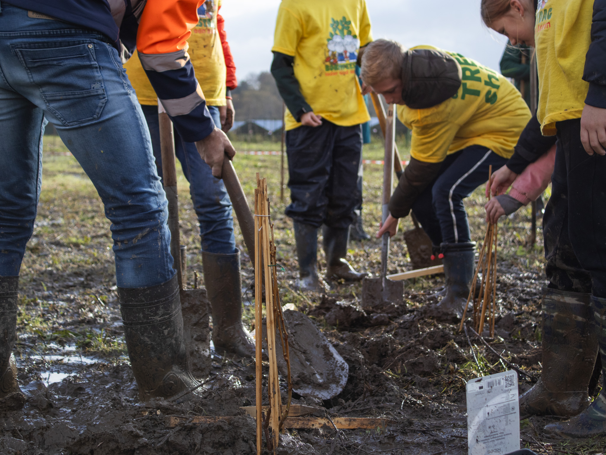Boomfeestdag wordt in 2023 gevierd in Energietuin de Noordmanshoek 