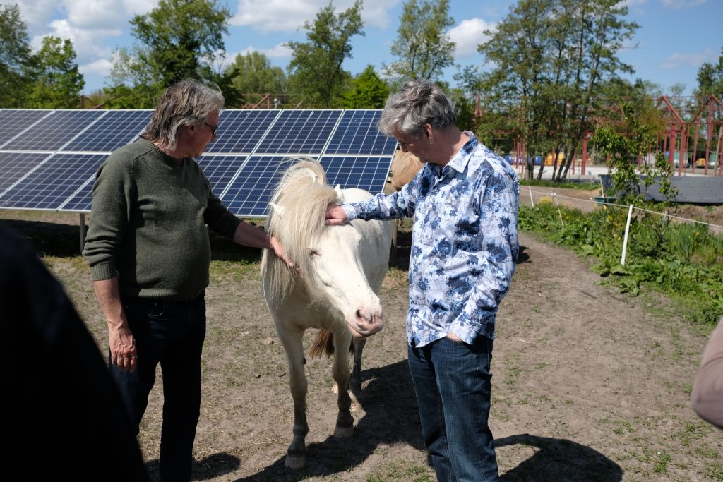 bezoek raad van inspiratie aan potentiele Energietuin locatie in Bergen mei 2026 met grazende paarden