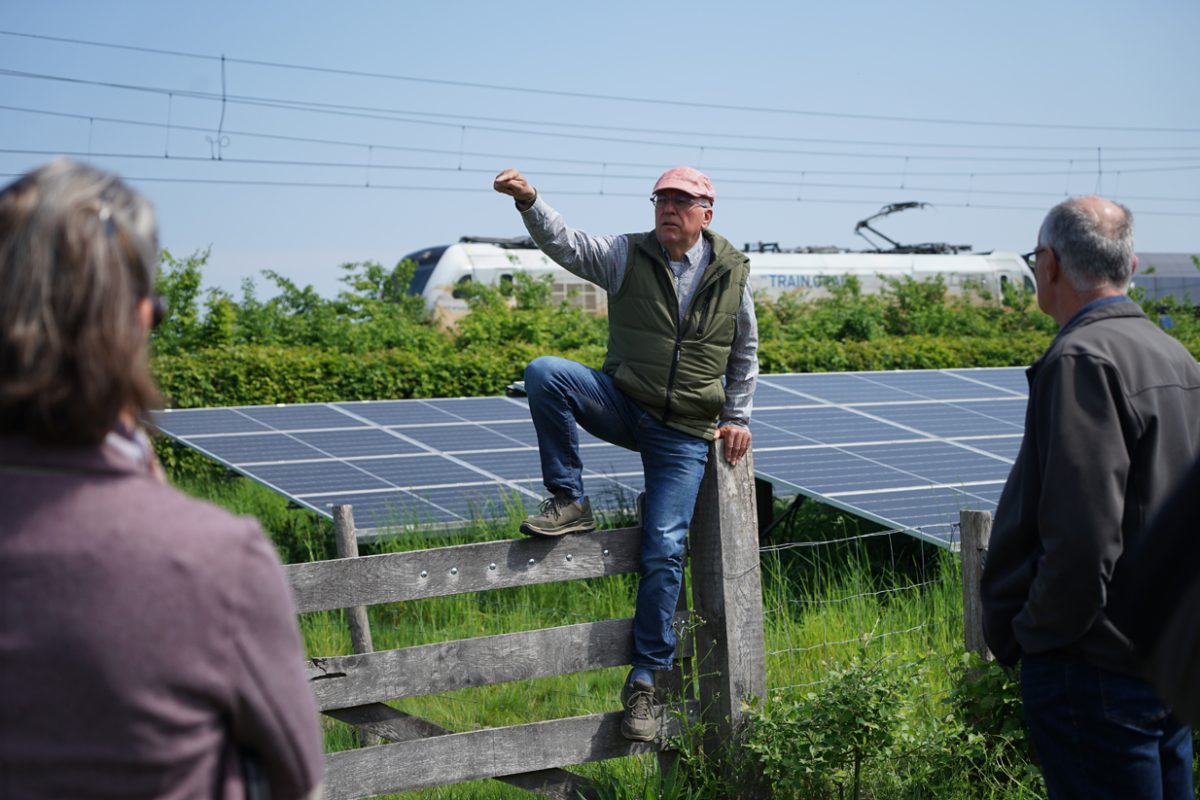 Tussen de panelen bloeit de klaver
